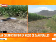 Trujillo: hallan cuerpo sin vida en cañaverales de Laredo