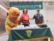 Lima: “Capibara del amor” captura a persunto microcomercializador de droga