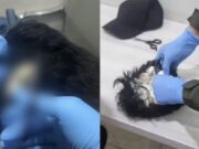 Internacional: hombre cultaba 400 dosis de cocaína bajo su cabello falso