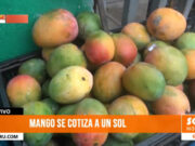 Trujillo: kilo de mango desde un S/1 en el mercado La Hermelinda