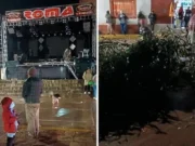 Puno: menor fallece tras ser aplastado por un árbol durante yunza