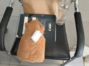 Arequipa: sospechoso peluche de capibara generó preocupación en aeropuerto