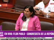 «Cada cuatro horas se mata un peruano en este momento, estamos expuestos a ser víctimas del sicariato»: Flor Pablo, congresista de la República