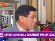 «No estoy impulsando al partido (de Pedro Castillo), pero sí estoy afiliado»: Pasión Dávila, congresista Bancada Socialista