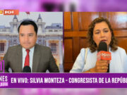 «Pedro Castillo está en un momento de desesperación y debe pagar por el golpe de estado»: Silvia Monteza, congresista de la República
