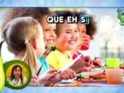 Cómo Cuidar tu Microbiota y Mejorar tu Salud Digestiva – Guía Nutricional