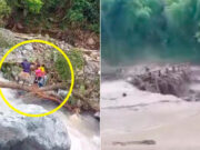 Piura: cruzan quebrada Tambora sobre un tronco tras colapso de puente