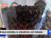 Trujillo: un viaje sensorial al corazón del café peruano