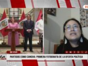 Politóloga e investigadora del IEP, Omayra Peña: “Voto fragmentado llevaría al gobierno a un candidato con menos del 20 % de los votos”
