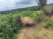 Tumbes: Hallan cadáveres calcinados de hombres desaparecidos