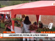 Áncash: lanzamiento del Festival de la Palta Yunguilla