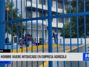 Chiclayo: hombre muere intoxicado en empresa agrícola