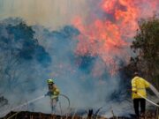 Internacional: Israel enfrenta incendios forestales fuera de control y declara emergencia nacional
