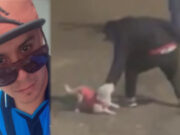 Trujillo: sujeto mata sin piedad a perrito cerca a centro histórico