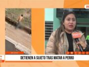 Trujillo: detienen a sujeto tras matar a pedradas a perrito