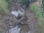 Chepén: Hallan cadáver de colombiano con signos de violencia