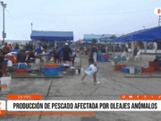 Trujillo: oleajes anómalos reducen producción pesquera en 50%