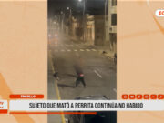 Trujillo: sujeto que mató a perrita continúa no habido