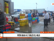 Trujillo: Pota baja a S/ 2 por kilo ante sobreoferta temporal
