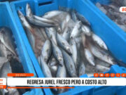 Trujillo: regresa jurel fresco pero a costo elevado