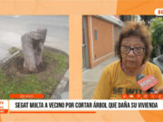 Trujillo: Vecina fue multada por Segat tras cortar árbol