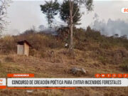 Cajamarca: lanzan concurso literario para prevenir incendios