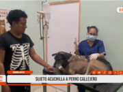 Chiclayo: perro es acuchillado tras defender a víctima