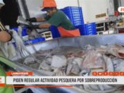 Chiclayo: Pescadores de San José exigen control por pesca de pota