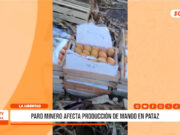 La Libertad: paro minero afecta producción de mango en Pataz