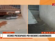 Trujillo: vecinos preocupados por roedores abandonados