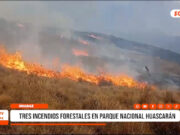 Huaraz: se reportan tres incendios forestales en Parque Nacional Huascarán
