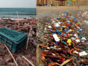 Perú lidera ranking internacional de playas más contaminadas del Pacífico