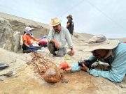 La Libertad: Descubren ocupación de más de tres mil años en templo de Puémape