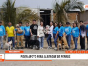 Pacasmayo: albergue pide ayuda para cuidado de perritos