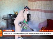 Lambayeque: refuerzan control larvario en viviendas por casos de dengue