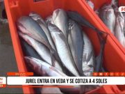 Trujillo: jurel entra en veda y se cotiza a 4 soles