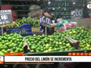 Trujillo: precio del limón se incrementa