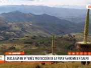 La Libertad: Declaran de interés protección de la Puya Raimondi en Salpo