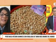 La Libertad: Tarwi busca récord Guinness con ensalada gigante