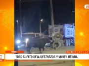 Virú: toro suelto causa destrozos y deja a mujer herida