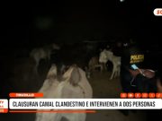 Trujillo: clausuran camal clandestino tras intervención policial