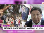 «Los zoológicos públicos cumplen una función exhibicionista y maltratan a los animales. Hay que cerrarlos»: Guido Bellido, congresista de Podemos Perú