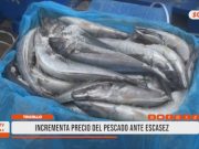Trujillo: Precio del pescado sube por fuerte escasez