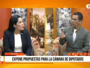 Elecciones 2026: Teresa Colmenares, precandidata a diputado, expuso sus propuestas