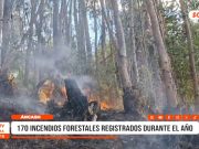 Áncash: incendios forestales disminuyen a comparación de 2024