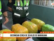 Trujillo: PNP decomisa marihuana durante intervención en Moche