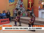 Asociación Cultural Pura Sangre deslumbró en Feliz Domingo