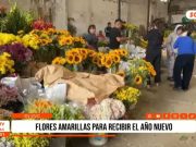 Trujillo: flores amarillas marcan la llegada del Año Nuevo