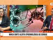 Minsa emitió alerta epidemiológica por dengue en diez regiones del país