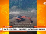 Huánuco: Minería ilegal obliga a cerrar estación Panguana tras 60 años